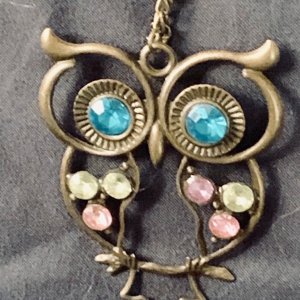 FUN OWL NECKLACE 12 inch chain